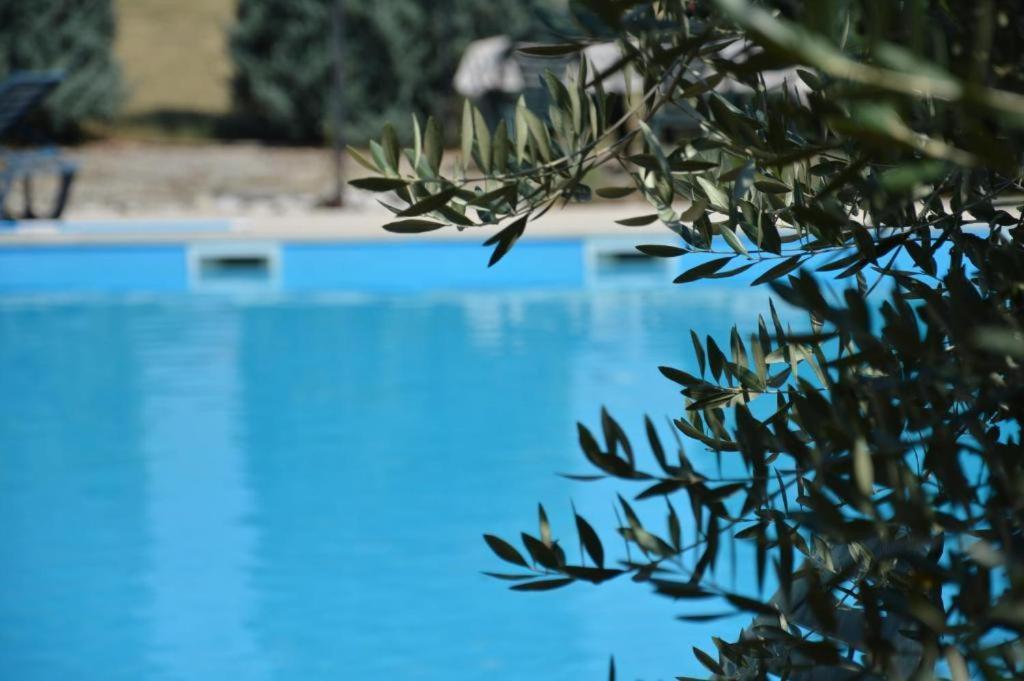 Holiday Home Atena Nova Vas  ภายนอก รูปภาพ